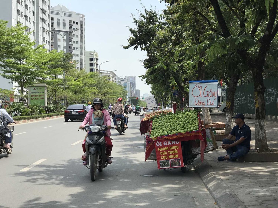 Hoa quả siêu rẻ tràn vỉa hè: Người tiêu dùng cẩn thận tránh sập bẫy - 1 Hoa quả siêu rẻ tràn vỉa hè: Người tiêu dùng cẩn thận tránh sập bẫy - 1