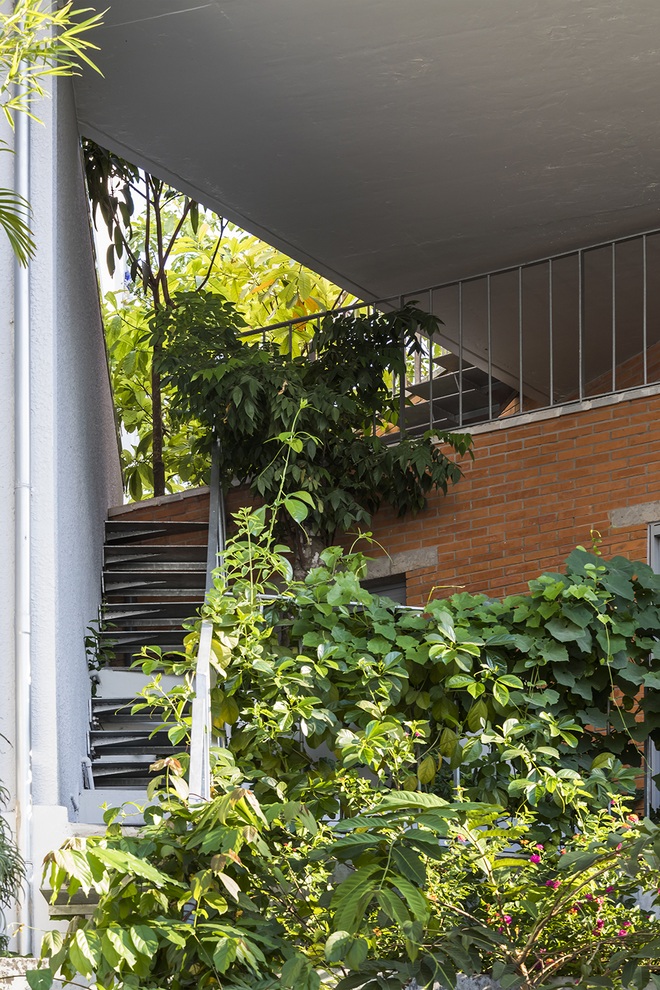 Căn nhà như vườn treo xanh mát tại TP Hồ Chí Minh, ai nhìn cũng muốn ở - 3