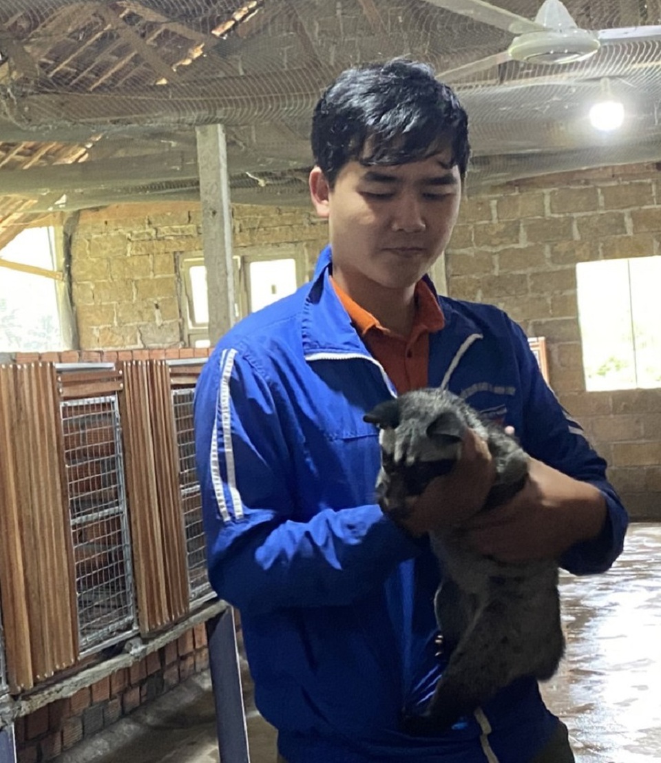 Bỏ nghề cơ khí, thanh niên về quê nuôi chồn hương, việc nhẹ lãi cao - 1 Bỏ nghề cơ khí, thanh niên về quê nuôi chồn hương, việc nhẹ lãi cao - 1