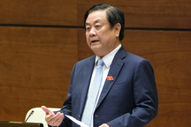 "Ấn Độ cấm xuất khẩu gạo không ảnh hưởng lớn đến Việt Nam"