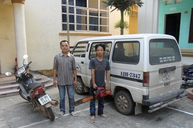 Xử tù nhóm “sưa tặc” trộm cây theo... đơn đặt hàng