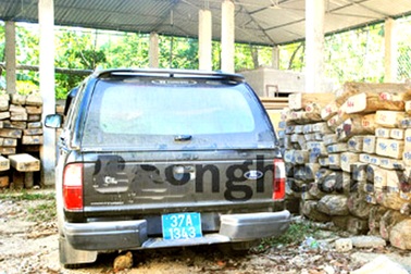 Hạt trưởng kiểm lâm chở gỗ không giấy tờ