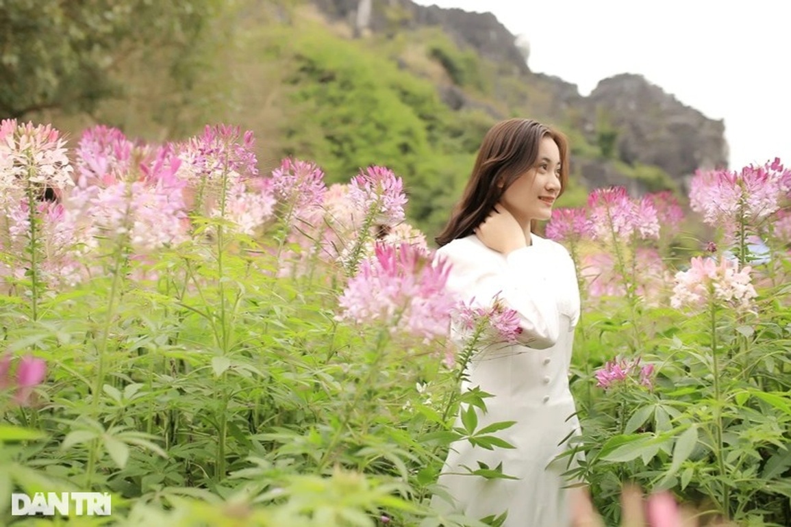 Giới trẻ phát sốt với vườn hoa hướng dương giữa lòng thành phố - 10 Giới trẻ phát sốt với vườn hoa hướng dương giữa lòng thành phố - 10