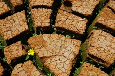 Những bức tranh thiên nhiên kỳ thú của tạo hóa