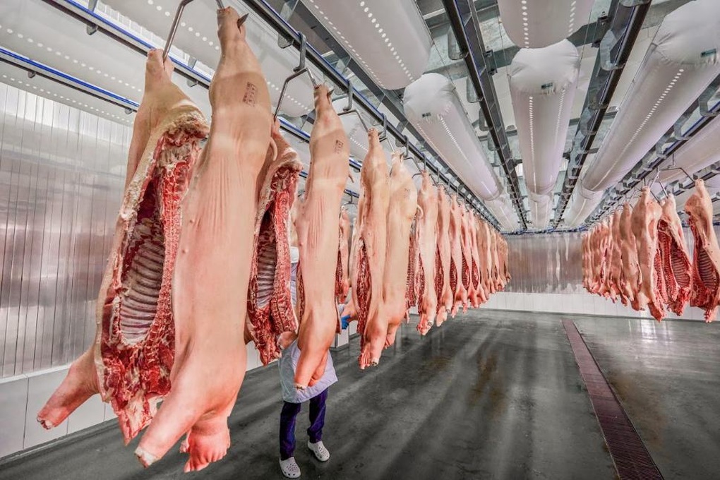 Thịt ủ mát theo tiêu chuẩn châu Âu chinh phục người tiêu dùng Việt - 6