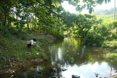 Sốt rét tại Thừa Thiên Huế tiếp tục giảm 