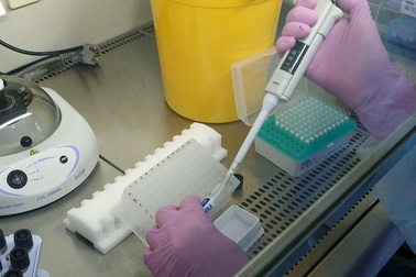 Nga phát hiện chất chống ung thư khi nghiên cứu thuốc trị Covid-19