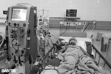 2 bệnh nhân trong gia đình 6 người bị ngộ độc nấm rừng đã tử vong