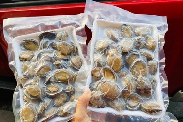 Bào ngư đông lạnh Trung Quốc gắn mác đồ Hàn bán cho dân Việt