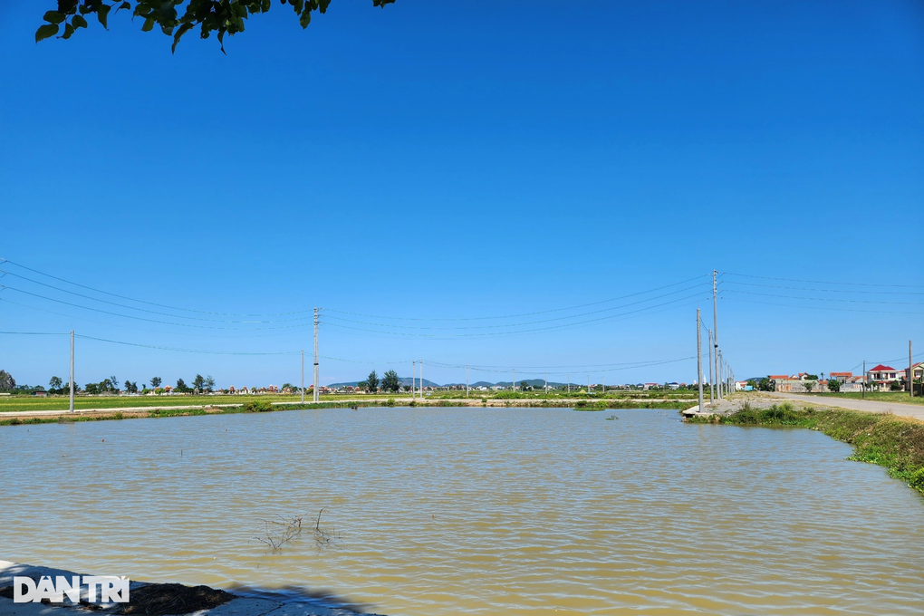 Vụ em trai phó chủ tịch huyện trúng 23 lô đất có thêm diễn biến mới - 2 Vụ em trai phó chủ tịch huyện trúng 23 lô đất có thêm diễn biến mới - 2