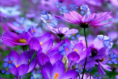 Xuất hiện "siêu cổ phiếu" tăng giá gần 50% chỉ trong một tuần