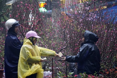 Cận Tết Nguyên đán 2018 miền Bắc mưa rét