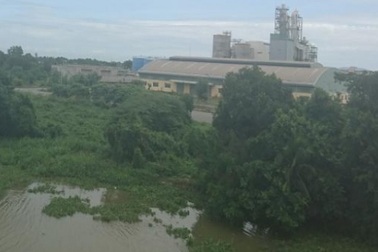 Giảm giá 1.500 tỷ đồng cho nhà máy giấy... không làm được giấy