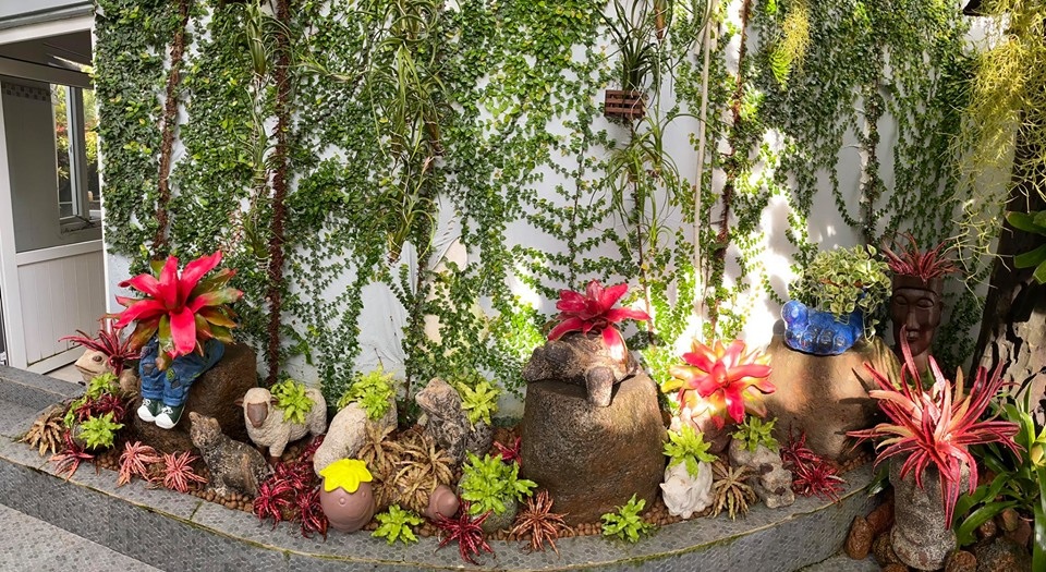 Mê mẩn khu vườn tiên cảnh rộng 300m2 toàn cây đắt đỏ của mẹ đảm ở Cần Thơ - 6 Mê mẩn khu vườn tiên cảnh rộng 300m2 toàn cây đắt đỏ của mẹ đảm ở Cần Thơ - 6