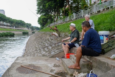Cảnh tượng đặc biệt sau mấy chục năm mới xuất hiện trên sông Tô Lịch
