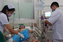 Liệt toàn thân, hôn mê sâu sau khi ăn dạ dày cá mặt thỏ