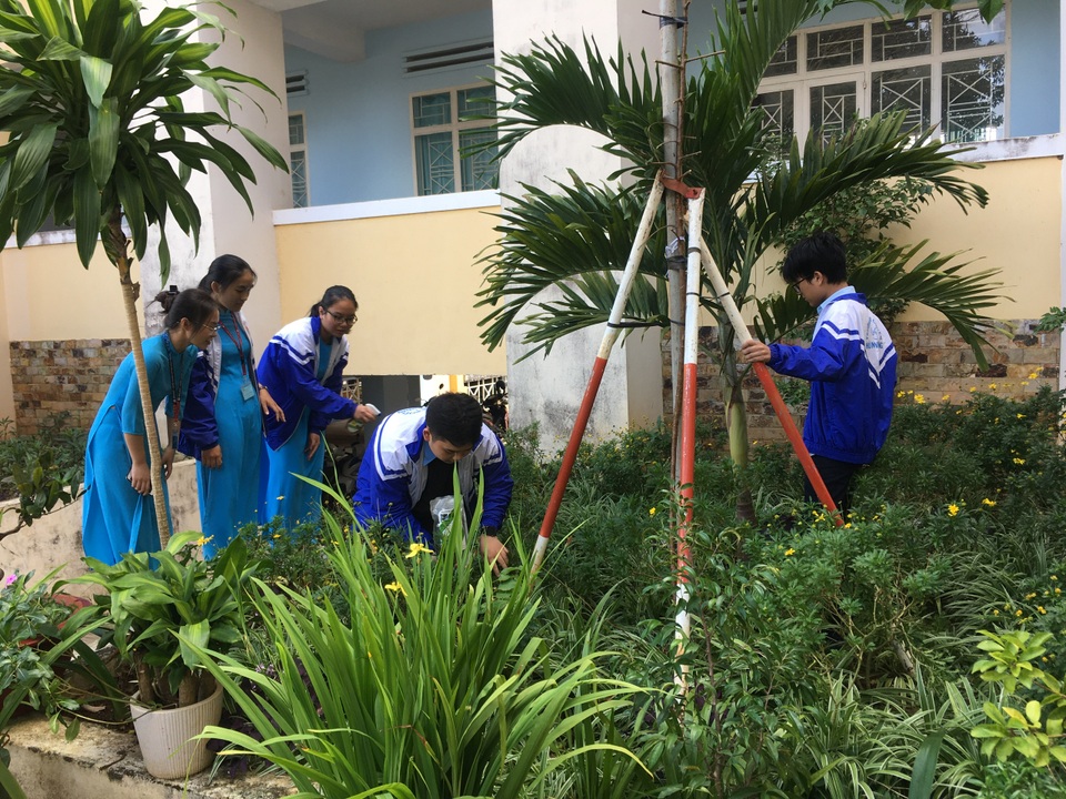 Học sinh phố núi sáng chế thuốc trừ sâu sinh học từ vỏ hạt cây điều - 2 Học sinh phố núi sáng chế thuốc trừ sâu sinh học từ vỏ hạt cây điều - 2