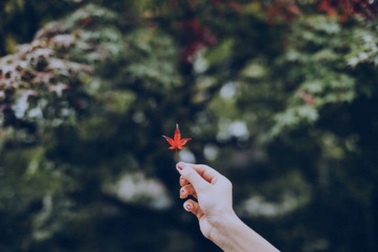 Từ bao giờ người ta dễ bị tổn thương?