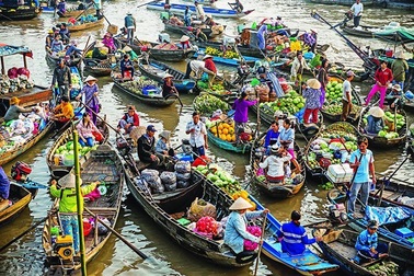 Khám phá sông nước miệt vườn Đồng Bằng sông Cửu Long