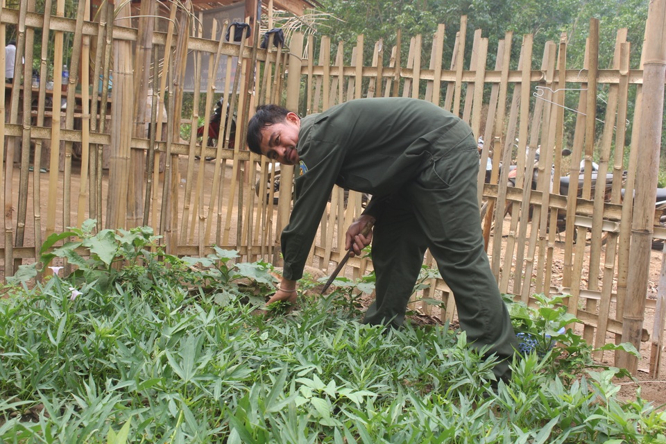 Gia Lai: Nghe người gác rừng kể chuyện nghề giữa chốn thâm sơn - 3