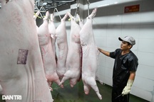 Trắng đêm kiểm tra an toàn thực phẩm tại chợ đầu mối Hóc Môn