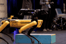 Chó robot "chuẩn Mỹ" được bán với giá gần 2 tỷ đồng