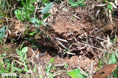 Vết nứt lớn cắt ngang quả đồi: Nhiều hộ dân phải di dời