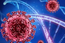 Covid-19 liên tục tiến hóa, biến thể mới XBB.1.16 tăng lây nhiễm ở châu Á