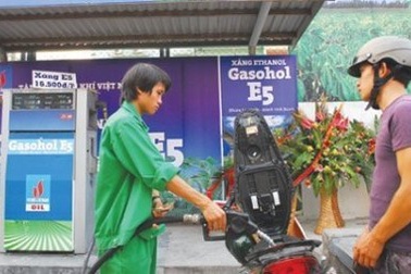 Bắt buộc dùng xăng pha cồn chạy ôtô, xe máy?