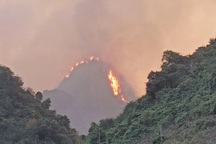 Hà Nam huy động lực lượng ngăn chặn cháy rừng