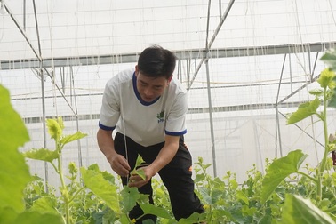 Người dân vùng ngập lụt lịch sử nỗ lực khôi phục sản xuất để đón Tết