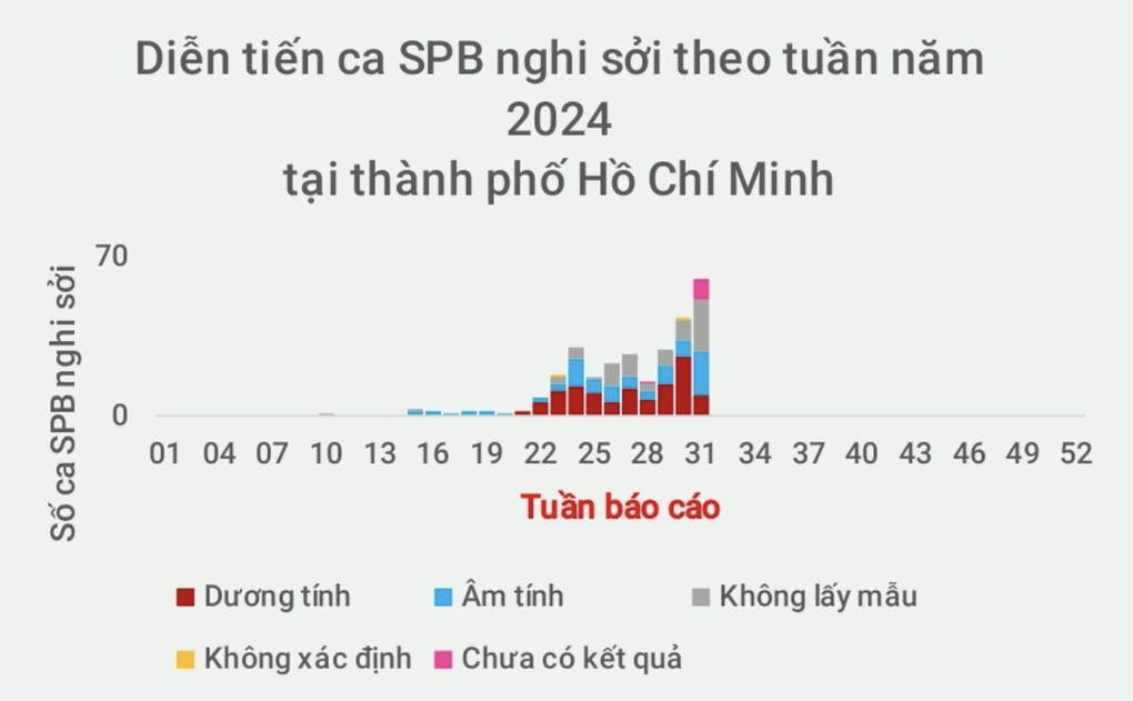 TPHCM ghi nhận 3 trẻ tử vong liên quan đến bệnh sởi - 1 TPHCM ghi nhận 3 trẻ tử vong liên quan đến bệnh sởi - 1