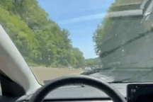 Chiếc cần gạt nước "hư hỏng" khiến nhiều chủ xe Tesla bực mình