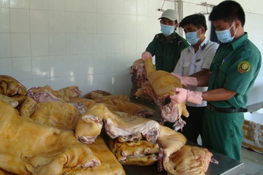 Thịt thối ùn ùn về thành phố