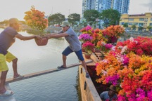 Những chiếc ghe miền Tây "mang Tết" đến TPHCM