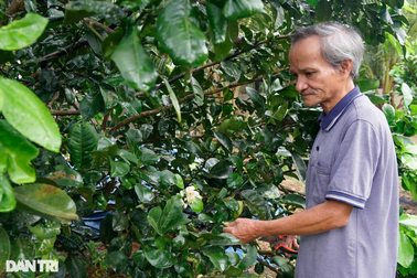Nông sản lên sàn thương mại điện tử, nông dân hưởng lợi