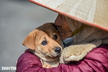 Cụ bà 101 tuổi ôm đàn chó đi nhặt rác, bán hàng rong trong rét buốt Hà Nội