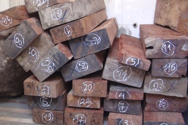 2,5 tấn gỗ trắc lậu “lọt” qua cửa khẩu vào sâu trong nội địa mới bị phát hiện