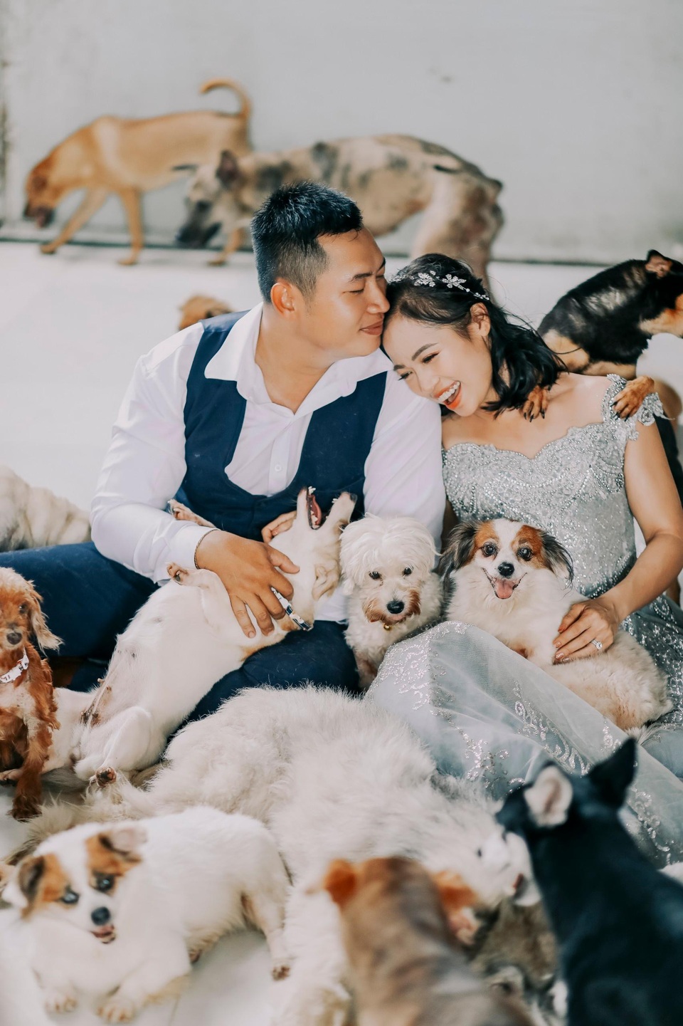 Cặp đôi chụp ảnh cưới độc đáo cùng dàn chó mèo cưng xỉu - 7 Cặp đôi chụp ảnh cưới độc đáo cùng dàn chó mèo cưng xỉu - 7