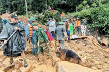 Huy động 200 người và cả chó nghiệp vụ tìm 4 người mất tích ở Tuyên Quang