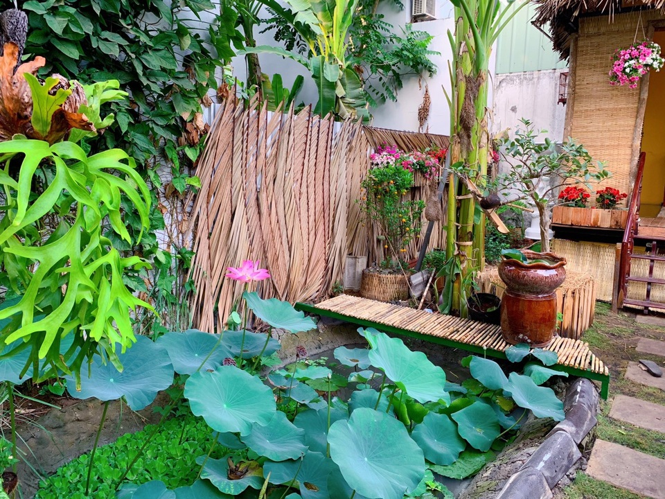 Bỏ 50 triệu đồng cải tạo vườn chuối thành khu sinh thái trong mơ - 5 Bỏ 50 triệu đồng cải tạo vườn chuối thành khu sinh thái trong mơ - 5
