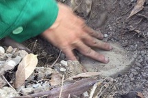 Chủ tịch Cà Mau nói gì về vụ phát hiện 300 xác thai nhi?