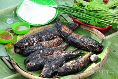 Cá trèo đồi: Đặc sản tiến vua quý hiếm đất Ninh Bình