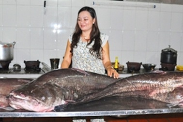 Câu được nhiều cá leo khổng lồ trên sông Sêrêpôk