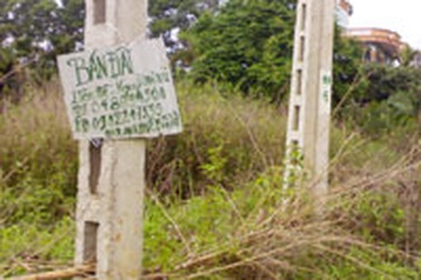 Vẫn cấp đất khi Chính phủ đã cấm