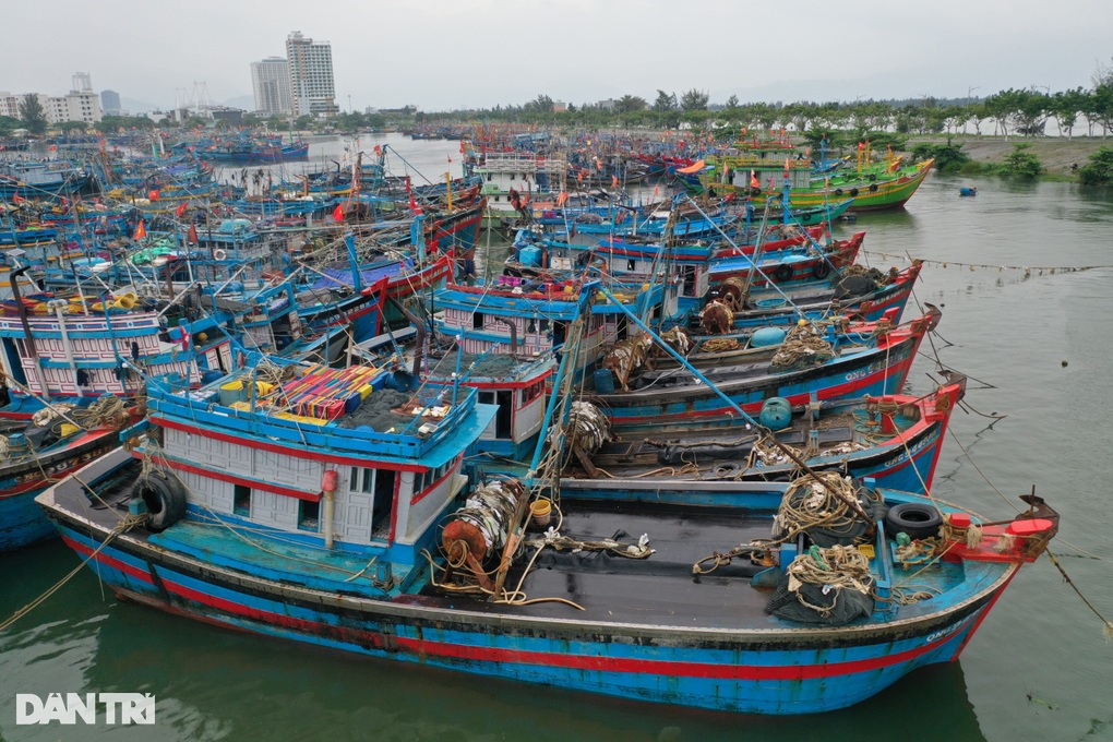 Bão Noru có thể đánh chìm tất cả các tàu thuyền, kể cả tàu trọng tải lớn - 1 Bão Noru có thể đánh chìm tất cả các tàu thuyền, kể cả tàu trọng tải lớn - 1
