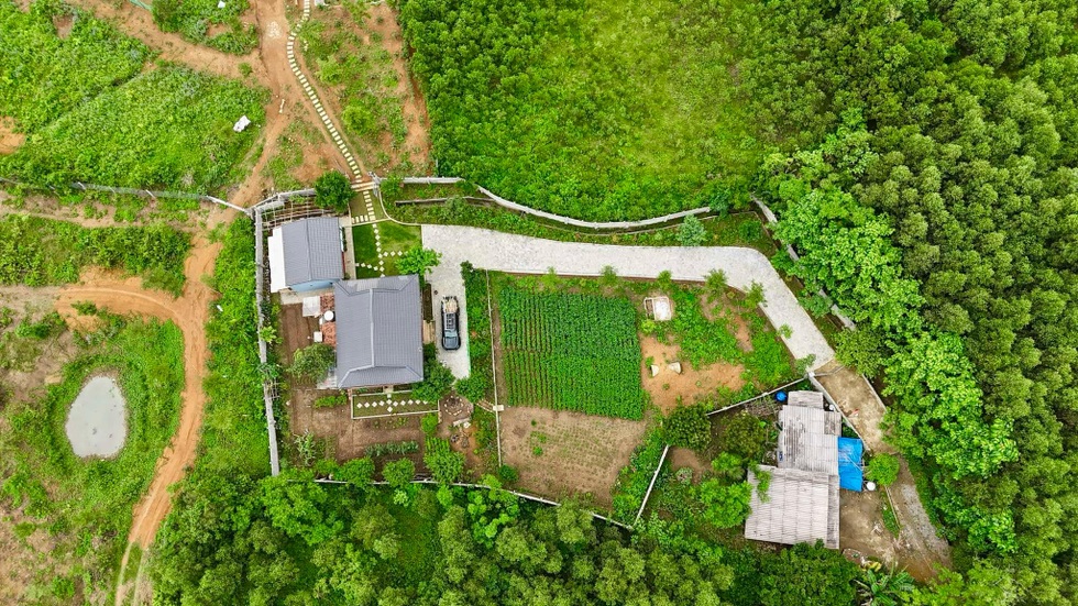 Sợ rau bẩn bụi mịn, vợ chồng ở Hà Nội mua 1.500m2 đất quê để nghỉ dưỡng - 3