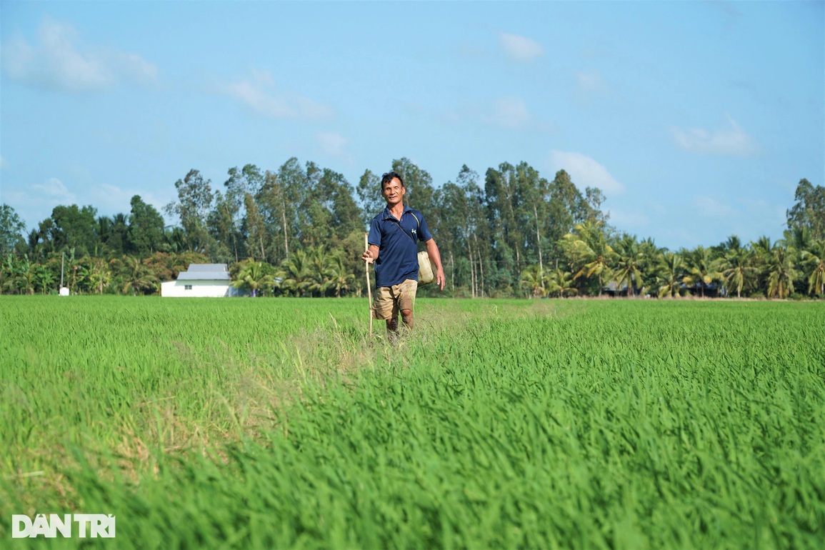 Lão nông mù tiết lộ bí quyết đặt trúm lươn siêu lạ, hát cải lương siêu hay - 3 Lão nông mù tiết lộ bí quyết đặt trúm lươn siêu lạ, hát cải lương siêu hay - 3