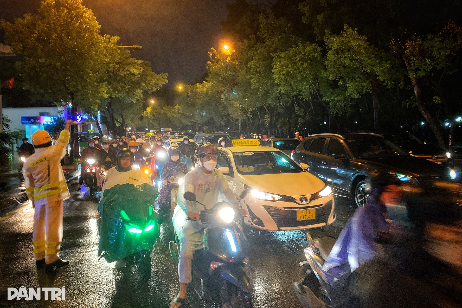 Cây bồ đề hàng chục năm tuổi bật gốc ở cửa ngõ sân bay Tân Sơn Nhất - 5 Cây bồ đề hàng chục năm tuổi bật gốc ở cửa ngõ sân bay Tân Sơn Nhất - 5