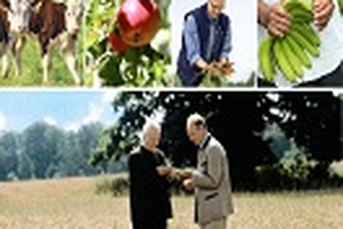 Những điều chưa biết khi sử dụng thực phẩm Organic cho con